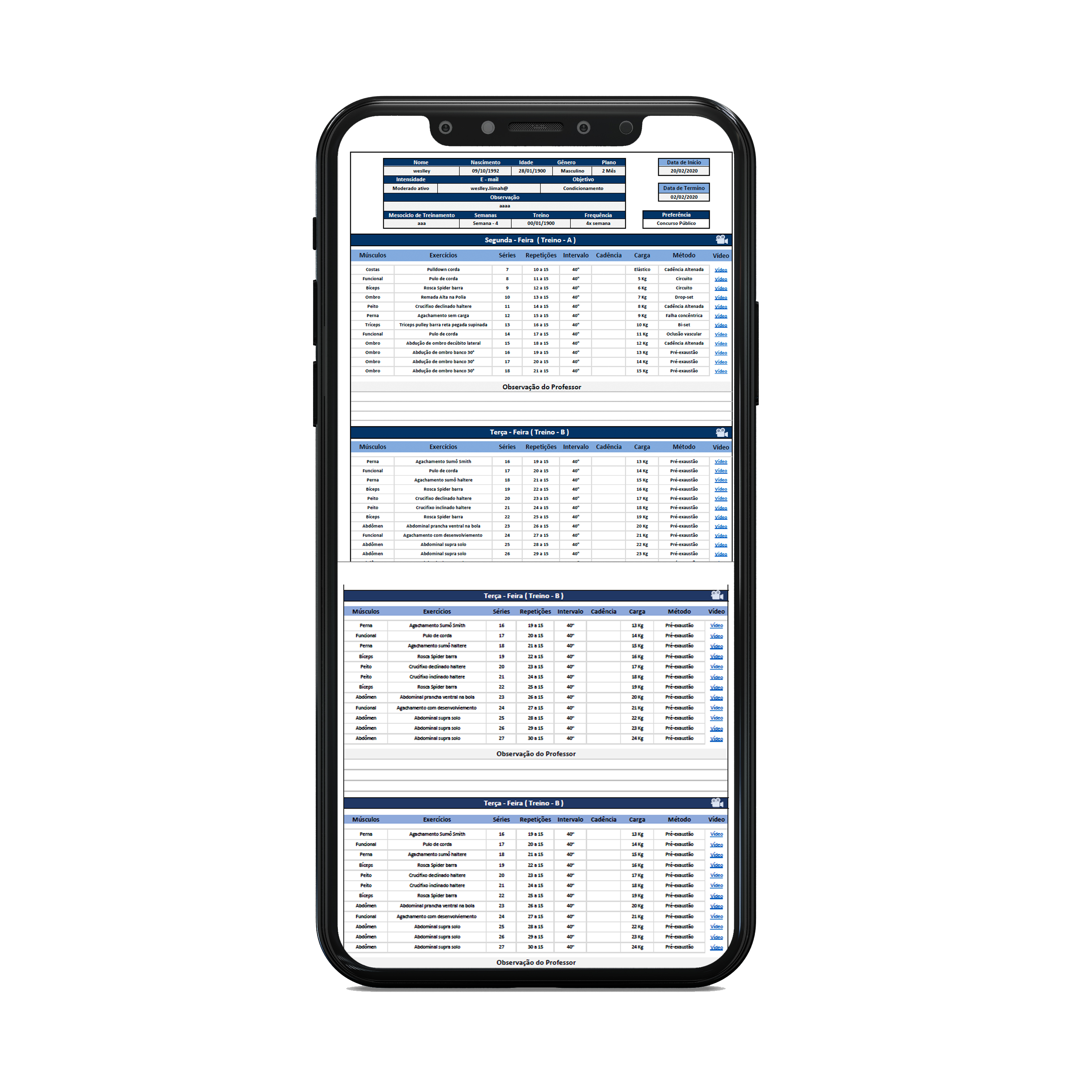 Ficha de Treino Musculação em Excel Grátis - Smart Planilhas